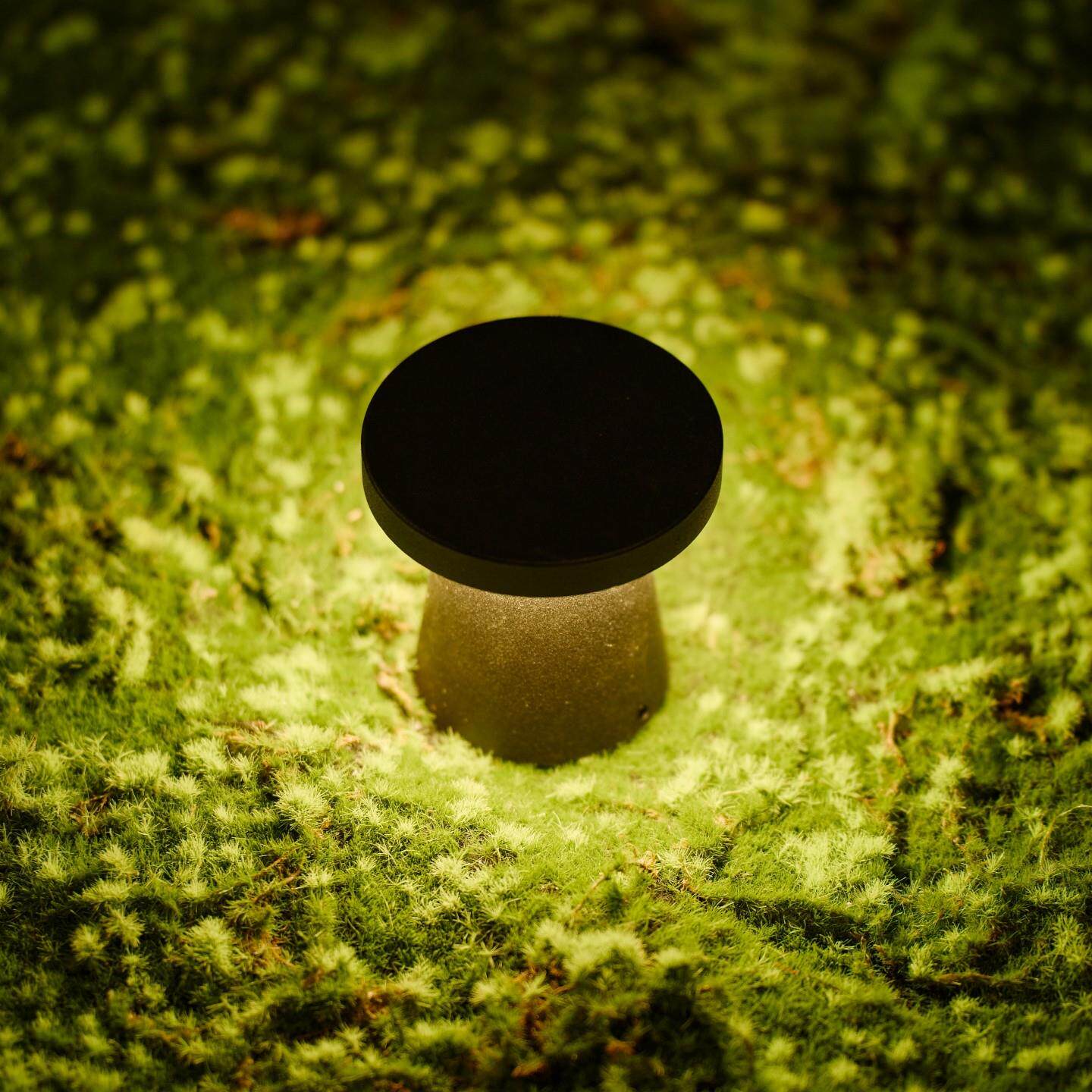 地脚灯庭院灯户外草坪灯插泥式花园装饰灯花园灯LED防水草地埋灯