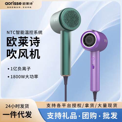 欧莱诗高速电吹风家用大功率吹风机宿舍学生速干负离子护发吹风筒