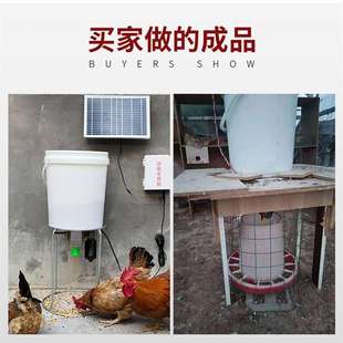 鸡饲料自动投喂机养鸡定时投料机器喂食器全养鸽子电动太阳能喂鱼