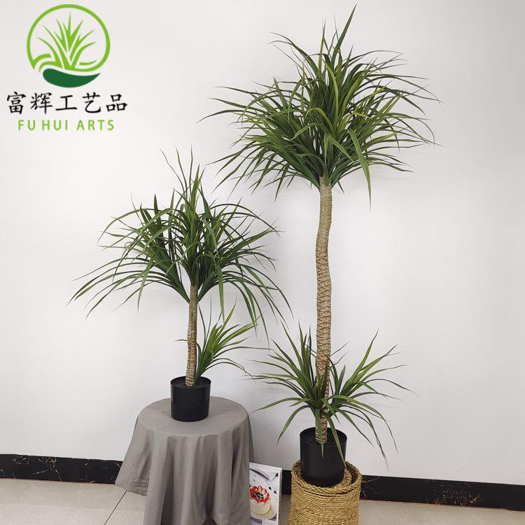 仿真植物千年木龙血树铁树龙须树盆栽组合景观造景绿植摆件