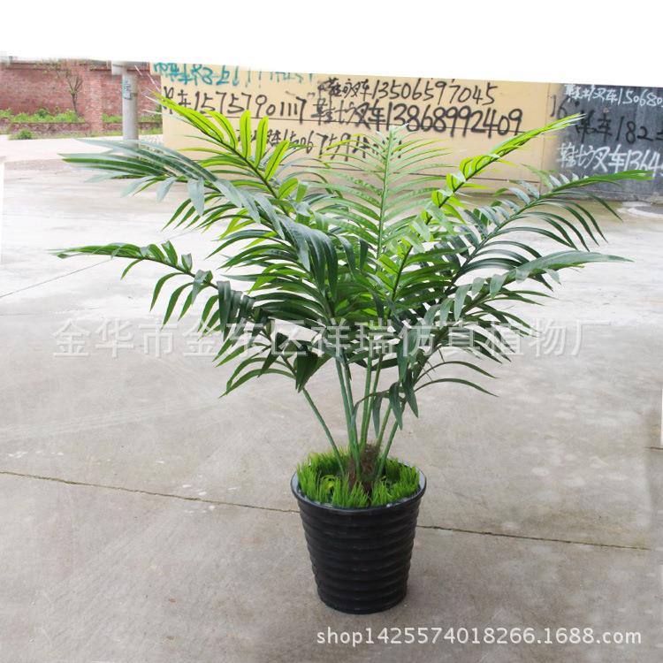 仿真植物迷你盆栽散尾葵叶树过胶棕榈科葵叶细葵叶落地盆景
