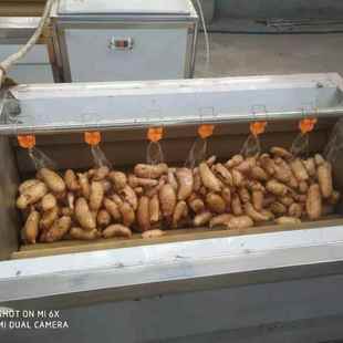 玉竹黄精去泥清洗机沥水输送机甘草天马加工设备各种中药材去泥清