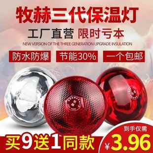 猪用保温灯保温灯泡畜牧取暖灯宠物养殖保暖灯母猪产床保温箱配件