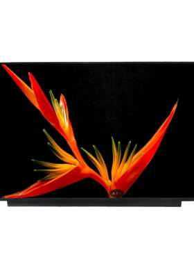 B160QAN02.Z友达16寸原装屏全视角2560*1600高分辨率240Hz刷新率