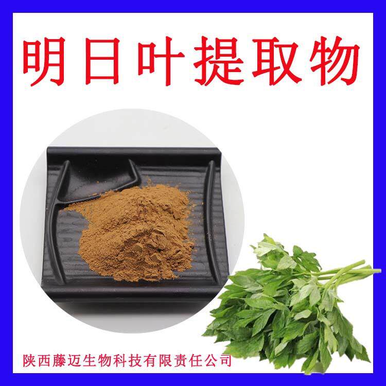 明日草提取物无中间商明日叶粉欢迎选购明日叶提取物