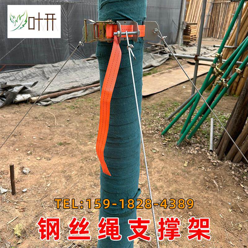 树木支撑架大树固定器园林绿化工程苗木支架钢丝绳支撑架