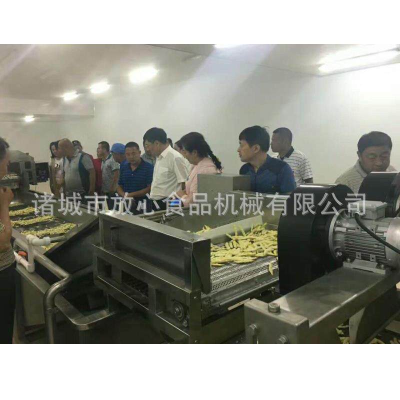 芸豆流线设备 DUZ芸豆清洗机芸 豆烫机 漂蔬菜清洗风干流水水线