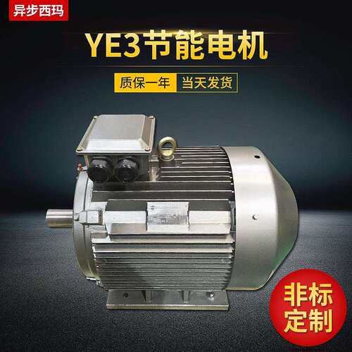 泰富西玛YE2系列2极率高速三相异步交流电机