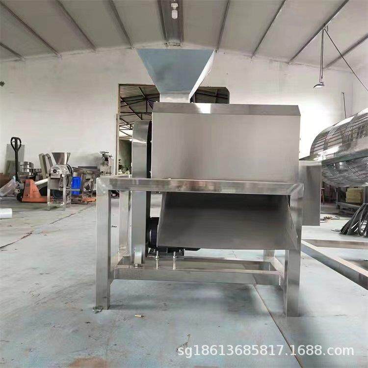 黄皮果打浆脱皮去籽机 芒果樱桃去核机 商用全自动果蔬单道打浆机