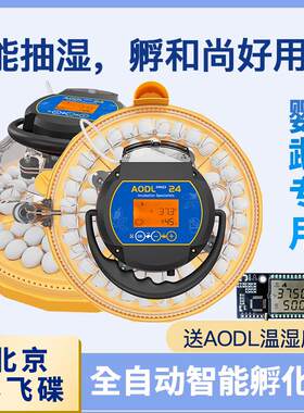 黄姐家1/4吋套筒扳手碟孵化器养殖场专用全自动家用多蛋位鹦鹉商