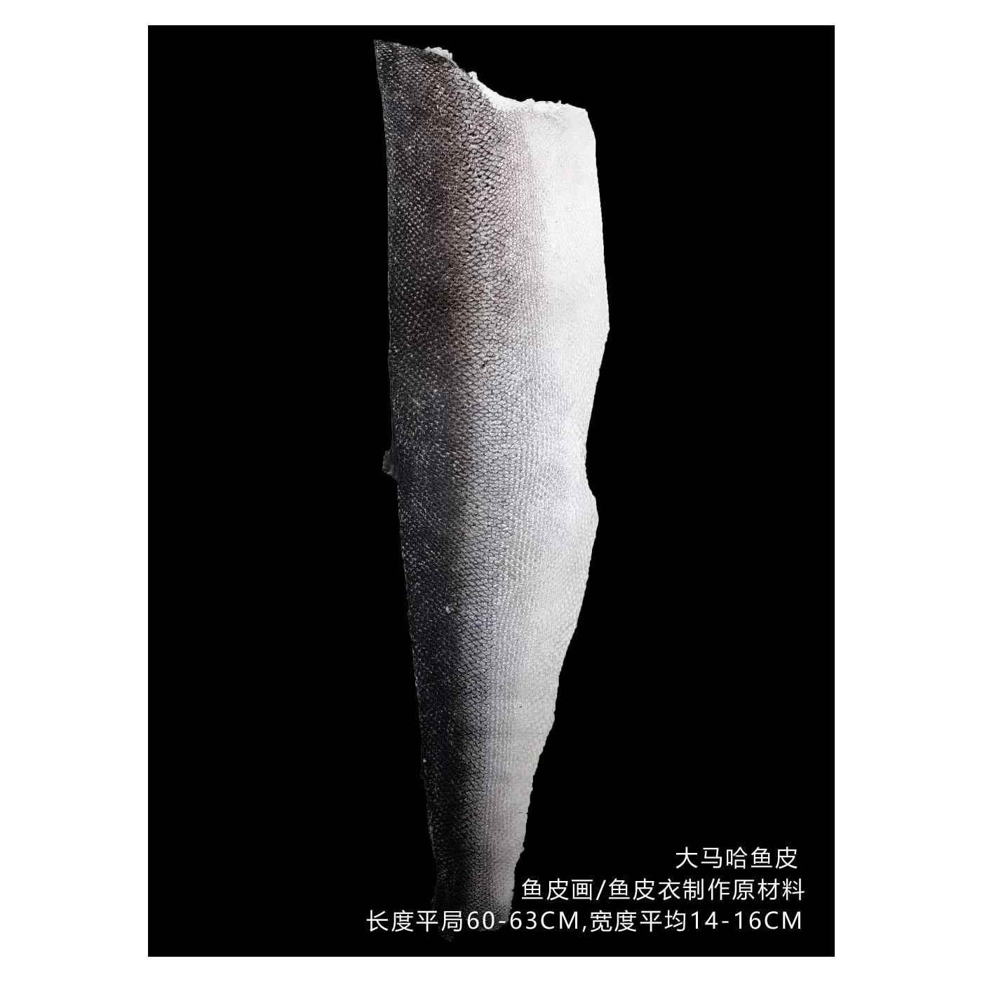 大马哈鱼皮 赫哲族鱼皮衣 鱼皮画原材料 鱼皮 全场满30元包邮