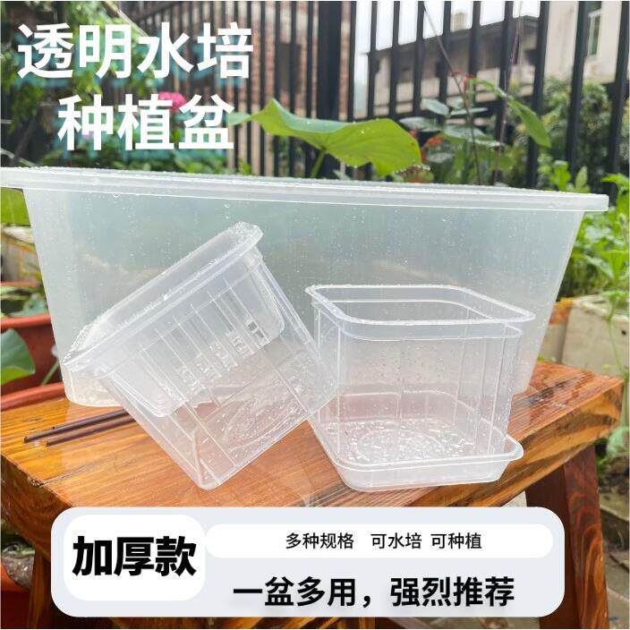 长方形塑料花盆水养水培观察幼儿园盆景绿植豆芽实验种植高透明