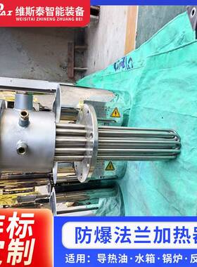 wst-fl01不锈钢电加热管20V3820V电防爆热法兰加热器单头热管导热