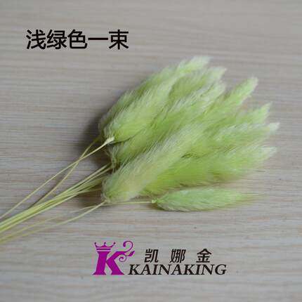 新款直销 兔尾草干花 干花花束 圣诞节diy花 多色可选 10枝