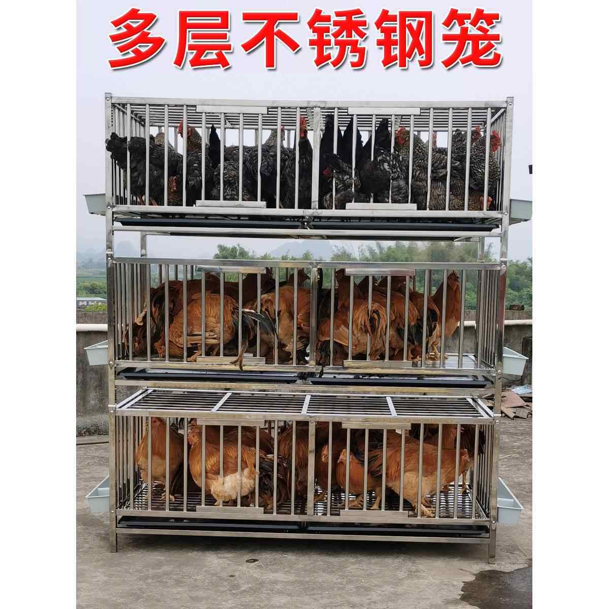 多层不锈钢鸡笼双层家用大号特大三层养鸡场鸡舍养殖场家禽养殖笼
