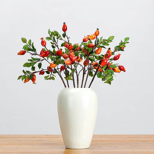 植物月季果果实摆件长玫瑰浆果枝乡村田园花桌面花艺绿植玫瑰果