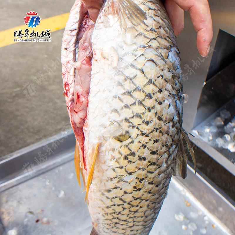 全自动杀鱼机 商用菜市场超市开肚去鳞多功能杀鱼机 厂家直供