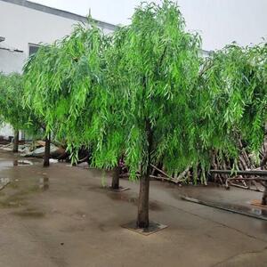 仿真柳树室内装X04饰柳树青柳叶垂仿造型逼真厅酒店商场装饰展真