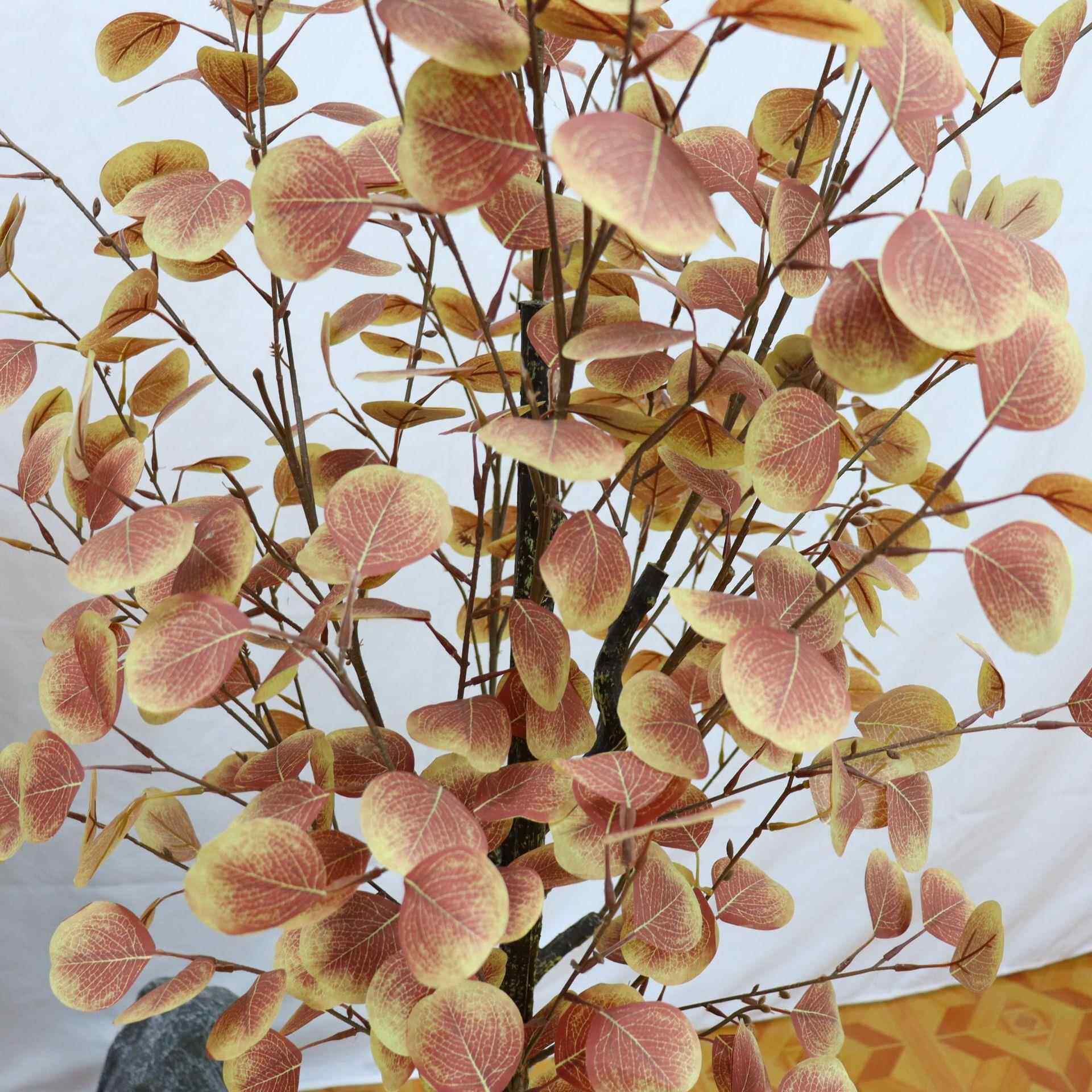 仿真尤植加利钱金钱树栽家盆居客厅装饰落地摆651526件绿秋色金树