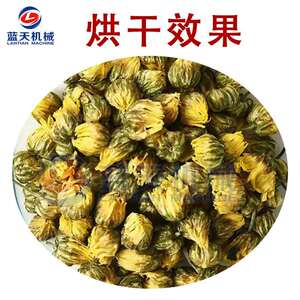 小型商用胎菊烘干机 智能甘菊小胎皇烘干箱 小白菊烘干设备一体机