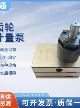 供应JSB*15BCC齿轮计量泵小型胶水泵点胶喷胶泵精密齿轮计量泵