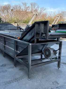 蔬菜泡清洗机姜WSI 大式喷淋清洗设备 果蔬气食堂洗菜机设备