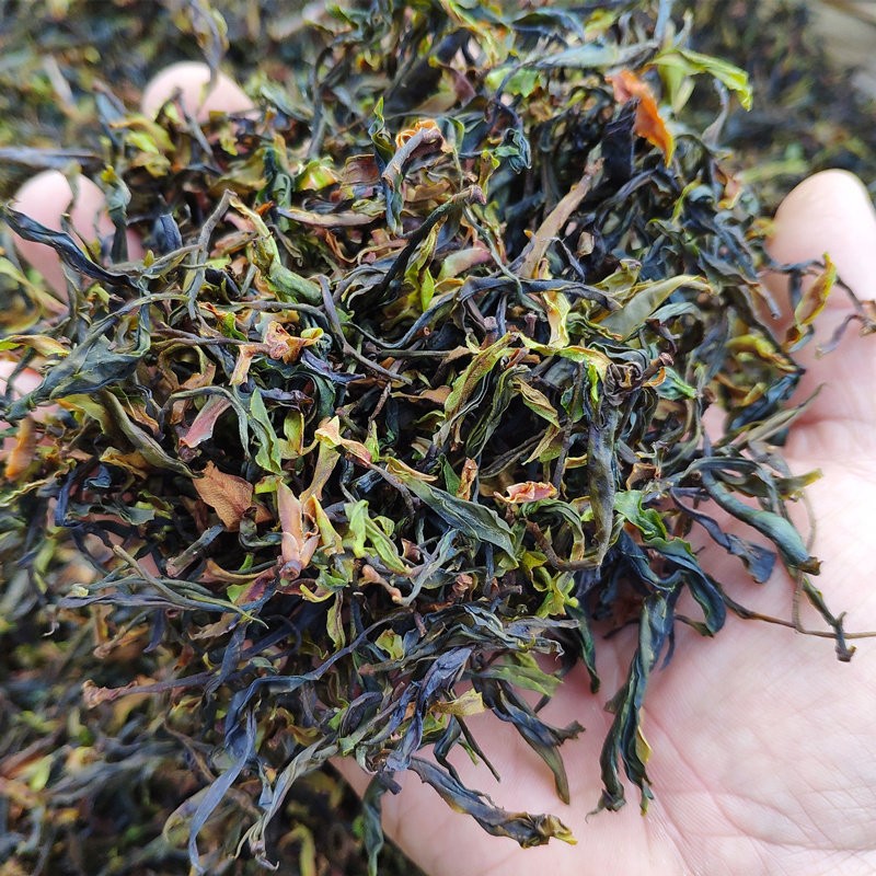 2026年普洱茶生茶散茶野茶原始森林千年高杆古树纯料100g明前头春