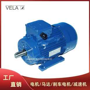 意大利VELA电机马达MSVL263718090S100L112M132M160L180M