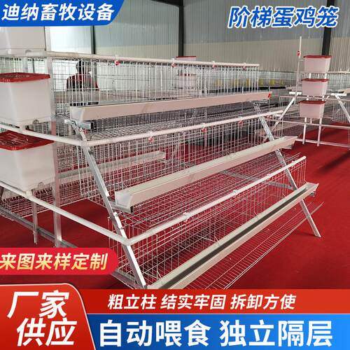 双边鸡笼三层靠墙鸡笼家用专业养鸡笼家庭养蛋鸡笼单边镀锌鸡笼