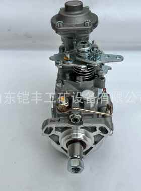 燃油泵196000-307022100-1C241喷油泵1960003070221001C241