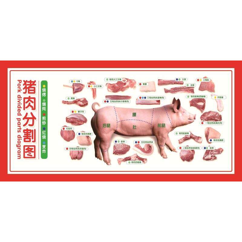 猪肉店贴画猪肉分割图PP胶写真贴肉分切图海报猪肉墙画图片宣传图