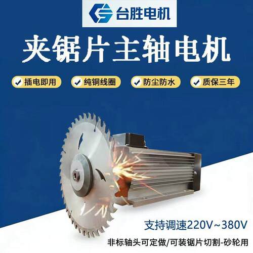 夹锯片切割主轴电机大扭矩高速低速木工电机三相380v单相220v主轴