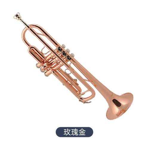 正品德国艺沃克尔森三音小号西降B专调初工学入门考级业演奏洋乐