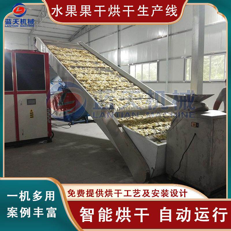 果干烘干机大型网带西梅水果干烘干生产线全自动果脯果肉烘干机