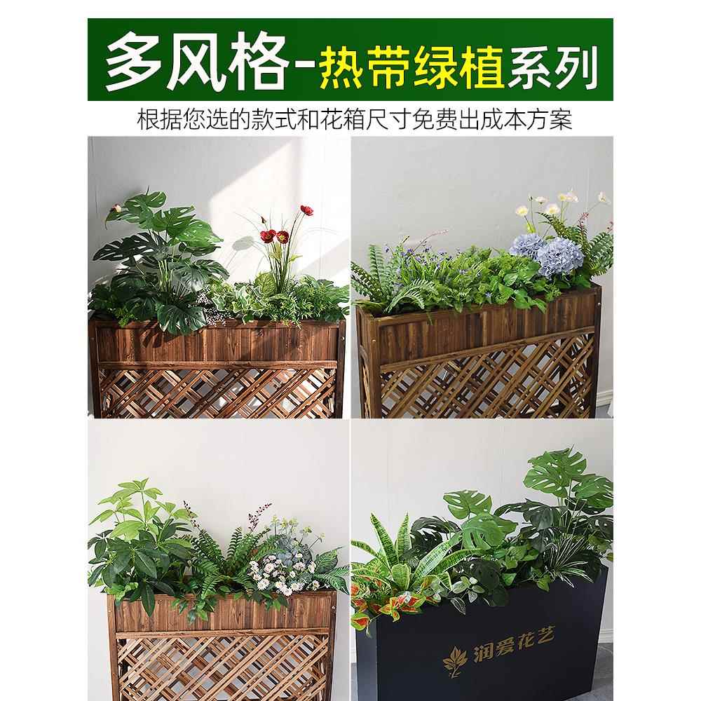 模拟热带植物景观雨林美容院商店室内花箱花槽隔断服装店绿色植物