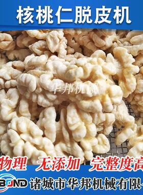 邦机小型华核桃仁去皮清洗 物MAGA-102理脱皮设备 花生米去内纯皮