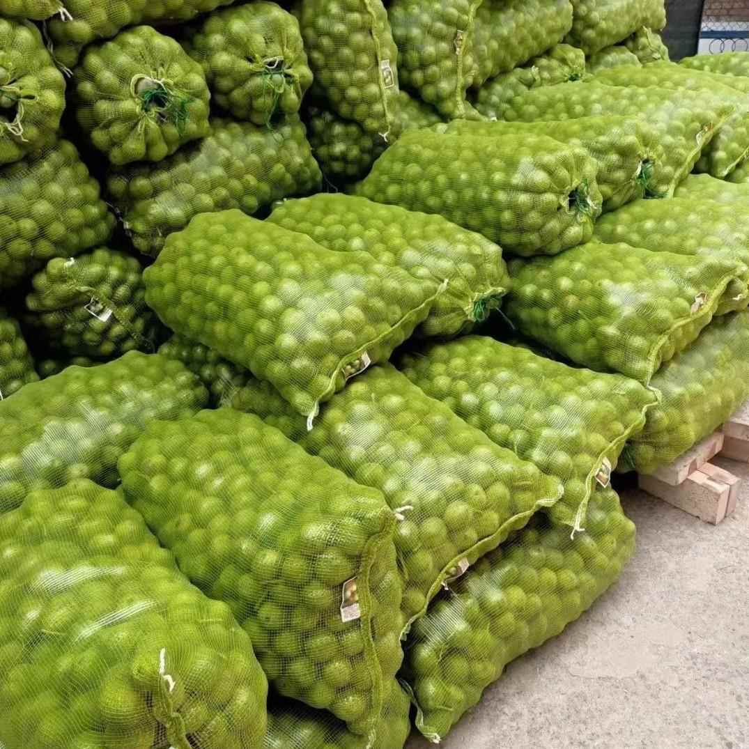 现货打包网眼袋蔬菜水果干果包装pp塑料家禽网袋可运输袋子