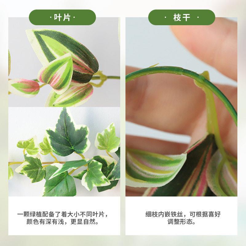 仿真藤条常青藤假藤条番薯藤假叶子管道装饰吊顶软装万年青藤