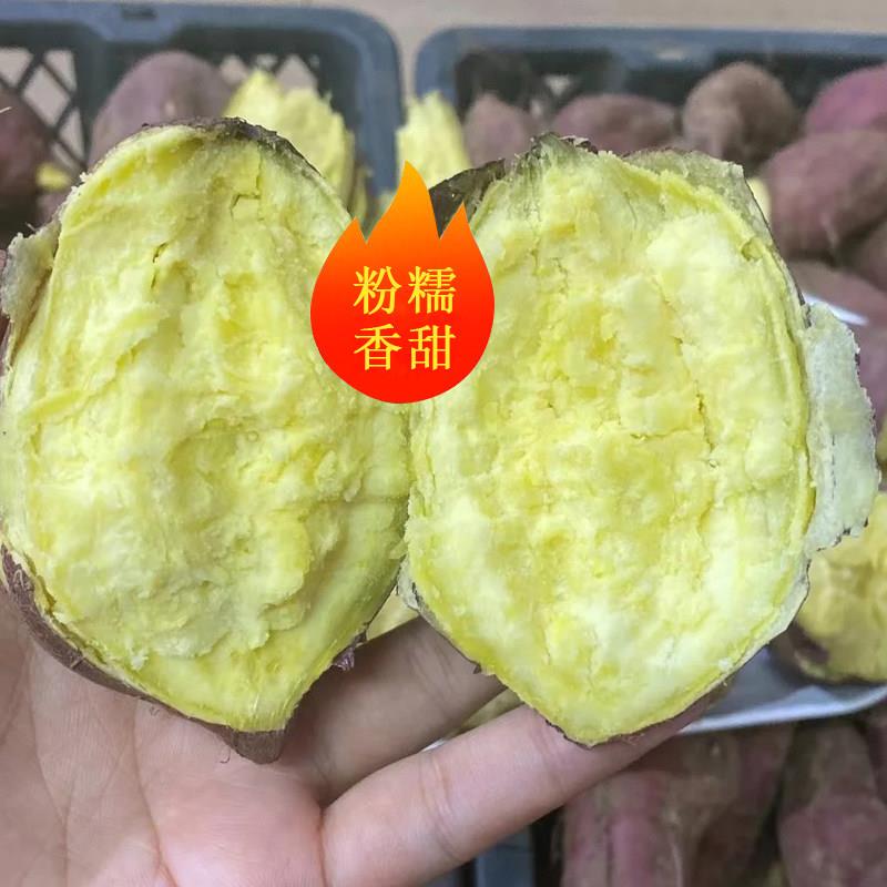 板栗粉糯香甜正宗海南桥头地瓜新鲜农家自种糖心小番薯干 干面 面
