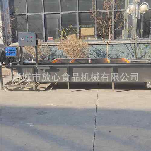 全自动型蔬菜清洗机大菠FX-6000菜油菜清钢蔬洗机不锈果清洗机鼓