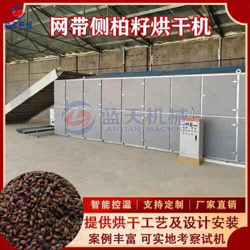 连续式侧柏籽烘干机柏树籽柏子壳柏树叶烘干设备侧柏种子干燥机