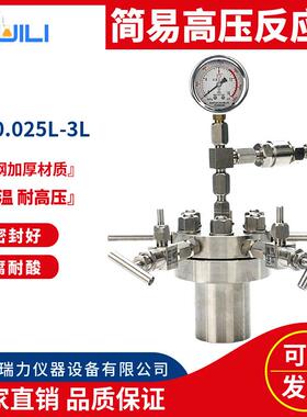 厂家瑞力仪器简易反应釜CF实验室不锈钢高温高压反应釜四氟内衬