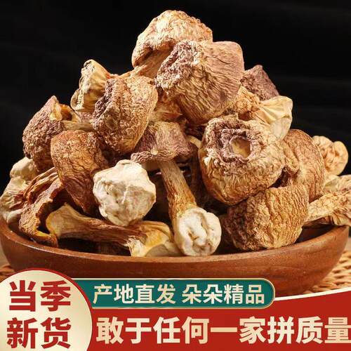 姬松茸云南特产干货食用巴西菇散装一件代一手货源菌菇