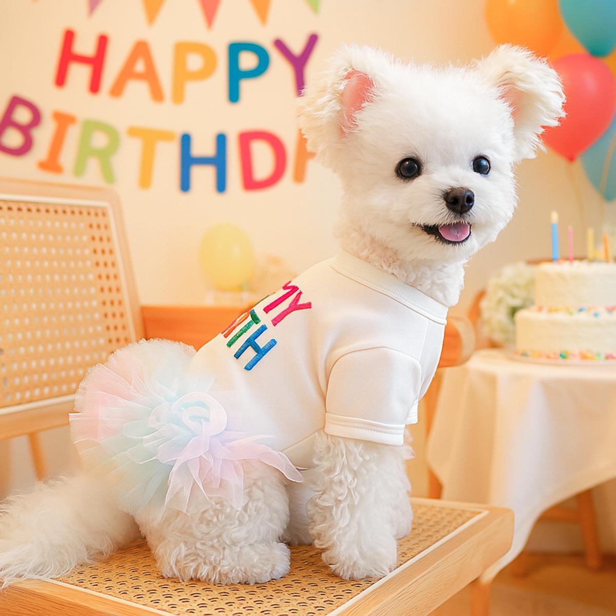 宠物狗衣服中小型服装生日裙子公主狗狗芭蕾蓝粉裙摆复活节装扮