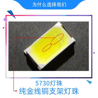 LED足功率30W瓦工程节能暖白冷白恒流庭院灯玉米灯节能照明