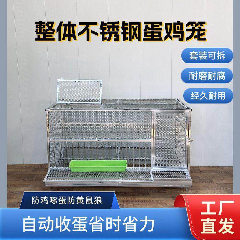 新款不锈钢蛋鸡笼自动收蛋探头吃食防蛇鼠黄鼠狼室外养殖不锈钢材