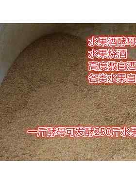 新疆包邮包邮 葡萄酒酵母 水果酒酵母白兰地桃子葡萄西瓜烧酒白兰