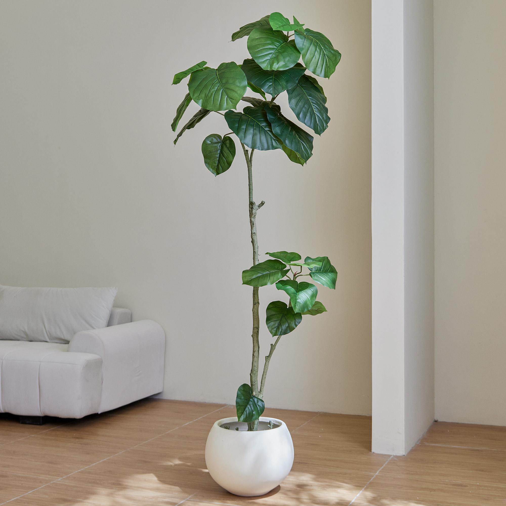 高端无障碍豪华模拟绿色植物，心叶榕树室内家居客厅落地式装饰品