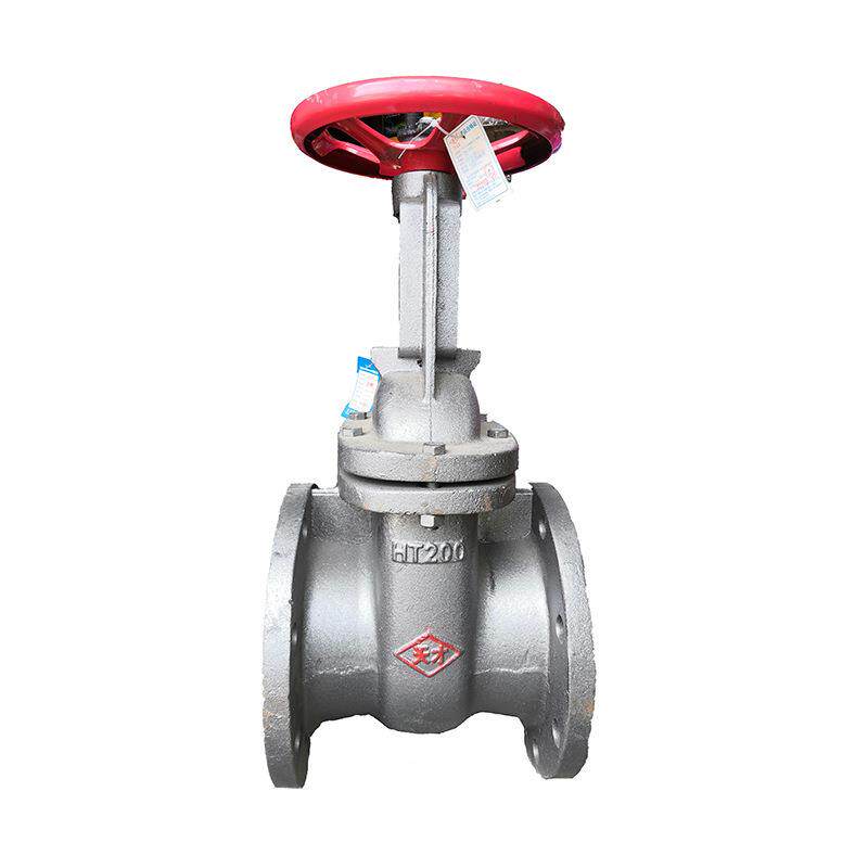 天才铸铁闸阀平行式双闸板法兰闸阀z44t