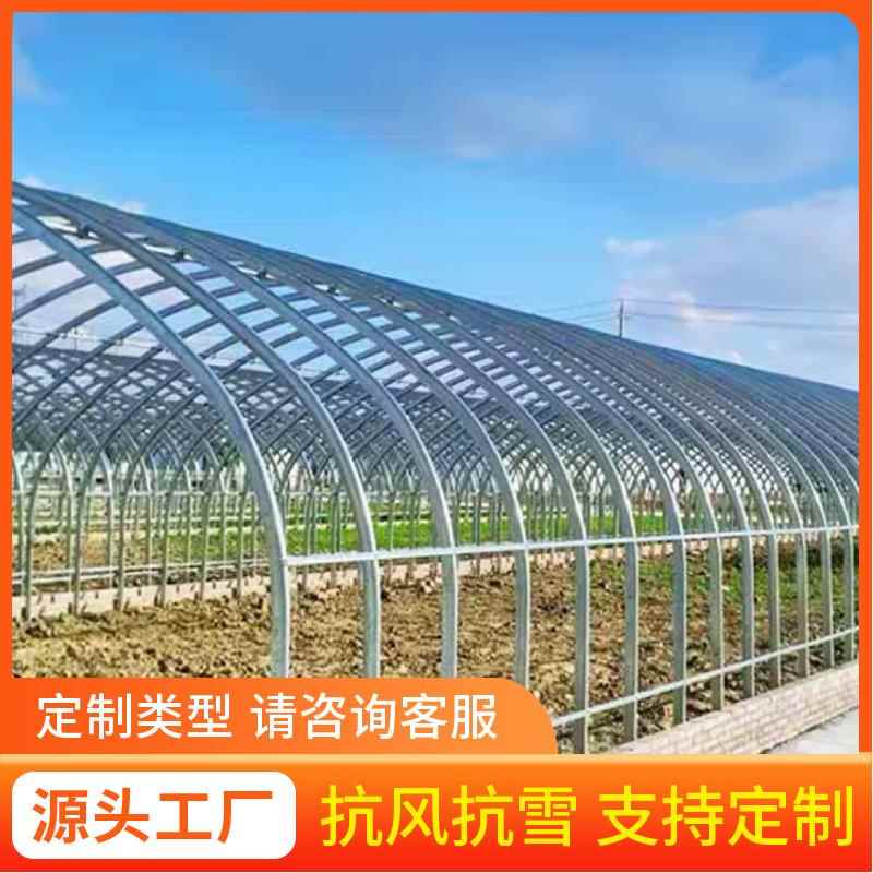 大棚骨架钢管养殖温室种植暖棚钢支架子组装全套蔬菜保温猪牛鸡舍